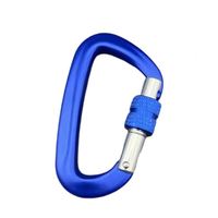 Penjualan langsung pabrik carabiner bulat besi tahan karat luar ruangan karabiner botol air