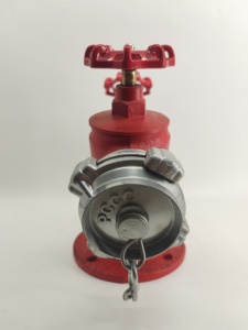 Vanne de bouche d'<span class=keywords><strong>incendie</strong></span> à double sortie de type Y conforme à la norme GOST 65-16K-65, DN100, avec raccord d'alimentation KY65 - Product Image 3