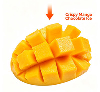 Nuggets de crème glacée à la mangue enrobés de chocolat croustillant, confiserie sucrée, collation pour fête d'été, impression de logo personnalisée, livraison rapide