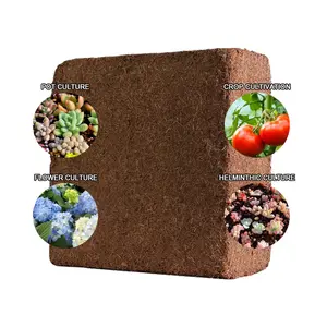 Dừa Dừa Dừa Khối/Cocopeat Khối/Coco Than Bùn KHỐI KHÔ Cocopeat Khối Chip Khối