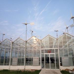 Grande serre en verre multi-chapelles pour tomates, kit avec structure en acier galvanisé à chaud et ventilation continue du toit, pour usage agricole - Product Image 3