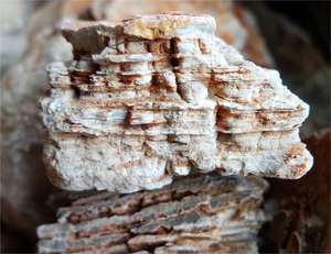 Pierres multicouches rouges colorées de roche de conception d'<span class=keywords><strong>aquarium</strong></span> pour des poissons d'<span class=keywords><strong>aquarium</strong></span> - Product Image 4