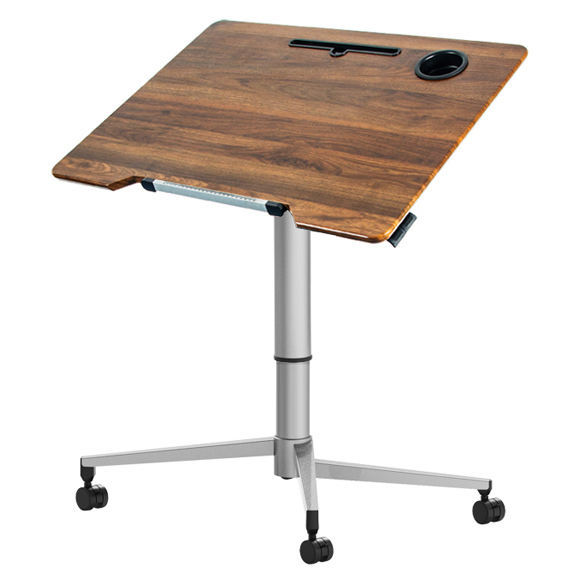 เงิน + วอลนัทบอร์ด