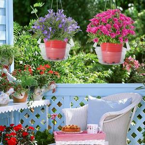 Plateau de drainage transparent rond en plastique pour plantes d'intérieur, 6, 8, 10, 12 pouces, avec trou de drainage - Product Image 2