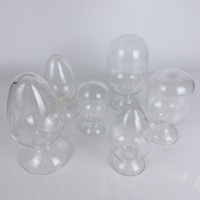Bouteilles à graines en verre borosilicate Tianlian 125ml/250ml/500ml, forme conique, flacon de laboratoire pour spécimens, personnalisable OEM