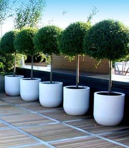 Maceta <span class=keywords><strong>de</strong></span> decoración interior para el hogar, artículos grandes <span class=keywords><strong>de</strong></span> jardinería, maceta FRP - Product Image 3