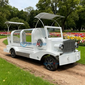 Vintage Hearse Manufacturers Funeral Chariot Electric Horse Buggy Funeral Hearse Classic Funeral Car for Sale - Product Image 4