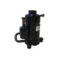 Compresseur d'eau froide réfrigérant R290 taille personnalisée compresseur de refroidisseur d'eau à défilement le plus petit pour le marché européen