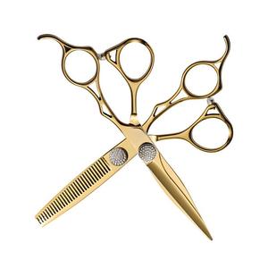 Hairdressing Scissors Set 6 Inch 9Cr13 Stainless Steel Flat Shears Professional Haircut Tools Gold Finish - Product Image 1