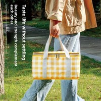Sac isotherme pliable et portable en aluminium épais grande capacité pour pique-nique et camping en extérieur, sac à bandoulière moderne