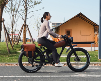 E-bike listrik 26 inci sepeda lemak, baterai ganda 48V 1000W Jalan Raya Retro Vintage