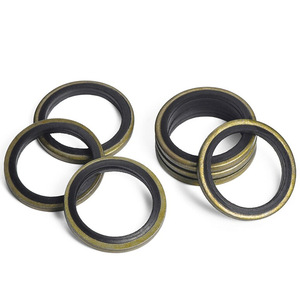 ปะเก็นซีลโลหะ ยาง NBR สำหรับระบบไฮดรอลิกยานยนต์ อะไหล่มาตรฐาน GBT29463 - Product Image 1