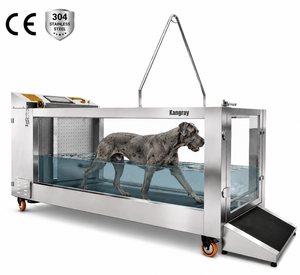 Cinta de correr acuática inteligente con pantalla táctil para perros, con control de programa de calentamiento, estación de hidroterapia canina de grado marino, precio de fábrica - Product Image 1