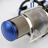 Microphone à condensateur professionnel haut de gamme, kit de microphone d'enregistrement en studio