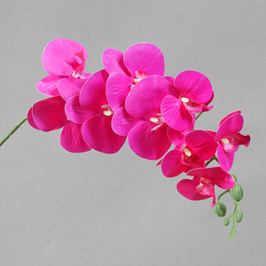 Longue durée 9 têtes Phalaenopsis UV protégé Latex <span class=keywords><strong>fleurs</strong></span> vraie touche artificielle balcon Rail <span class=keywords><strong>d</strong></span>écor Faux forme retenue - Product Image 3