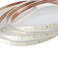 Ruban LED RVBW 2835SMD adressable, étanche IP65, USB basse tension DC24V, 50m, en PVC, CRI 90, personnalisable OEM
