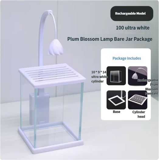 Confezione cilindrica con lampada da 100 prugne super bianche