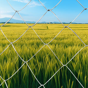 Maille de jardin agricole à bas <span class=keywords><strong>prix</strong></span> en métal Rolls Clôture commerciale de sécurité <span class=keywords><strong>Grillage</strong></span> de clôture à maillons de chaîne galvanisé - Product Image 5