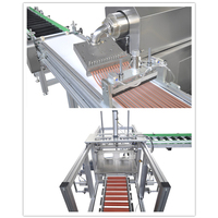 Machine d'extrusion semi-automatique en acier inoxydable 350 kg/h pour bandes de viande, ligne de production de friandises pour chiens par extrusion à froid, moteur pour viande fraîche séchée