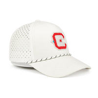 Gorra de Béisbol de Alta Calidad con Logotipo Bordado Personalizado, 100% Algodón, Perforada, de 5 Paneles, con Visera y Cierre de Plástico