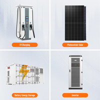 Cargador Universal DC para Vehículos Eléctricos con Conectores GB/T CCS2 y Sistema de Almacenamiento Solar para la Infraestructura Global de Vehículos Eléctricos