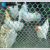 Filet en plastique pour volaille, poulet, volière, machine de fabrication de filet plat, extrudeuse de filet, prix d'usine