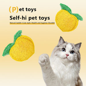 Jouet pour chat en forme de gourde éponge, style dessin animé pêche, pour le nettoyage des dents, l'entraînement et le plaisir autonome apaisant, fournitures naturelles pour animaux de compagnie - Product Image 4