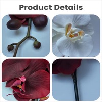 Orchidées papillon artificielles de luxe en latex de haute qualité, fleurs artificielles au toucher réel, Phalaenopsis pour la décoration de mariage et de la maison