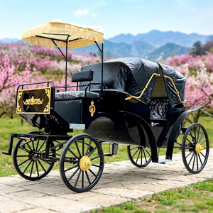 Calèche de luxe européenne à chevaux / Calèche de tourisme extérieure / Calèche électrique très demandée à vendre - Product Image 1