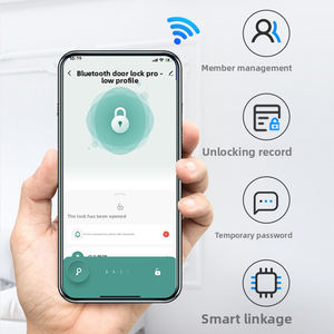 Serrure électronique automatique à reconnaissance faciale, empreintes digitales, anti-vol, en bois, mini-programme, reconnaissance faciale, veine de la paume - Product Image 2