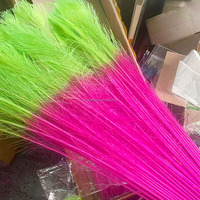 Plumes de paon bicolores teintées et décolorées en gros, plumes de paon dégradées pour costumes de carnaval, coiffes et décorations de fête