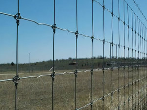 Kawat baja karbon galvanis tahan lama, pagar pertanian jaring untuk perlindungan pasure pagar anggrek pagar pagar peternakan - Product Image 2