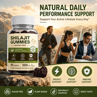 Gummies de Shilajit à Marque Blanche OEM 1000mg Sans Sucre à Base de Plantes Supplément de Shilajit de l'Himalaya pour l'Énergie et la Concentration 60 Comprimés