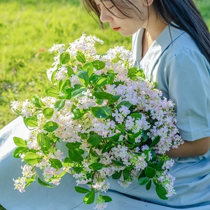 Stock d'usine – Bouquet artificiel moderne fait main de 72 cm, fleurs lilas, roses et blanches réalistes, feuilles <span class=keywords><strong>vertes</strong></span> – Pâques, Fête des Mères - Product Image 4