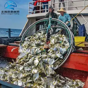 Penjualan terlaris grosir harga Cina kualitas baik emas beku Pompano peternakan ikan mengangkat emas kering pomfret