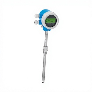 Débitmètre massique thermique E+H Endress+Hauser avec affichage intégré et boutons, type enfichable, pour gaz (Chine) - Product Image 1