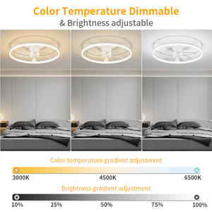 Ventilador de Techo Moderno de 7 Aspas para Dormitorio con Luz LED de 3 Colores (3000K/4000K/6500K), Motor de CC de 6 Velocidades, Cuerpo de Acrílico, Control Remoto y por Aplicación - Product Image 3