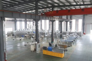 Máquina Automática de Nueva Tecnología para Procesar Aperitivos <span class=keywords><strong>Fritos</strong></span>, Línea de Producción de Chips de Maíz Frito, Acero Inoxidable 304, CE - Product Image 3