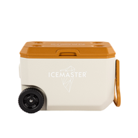 Glacière pour aliments 38L beige OEM avec poignée PP PE PU Chariot pour jus à bas prix 37L Carry Cooler Box