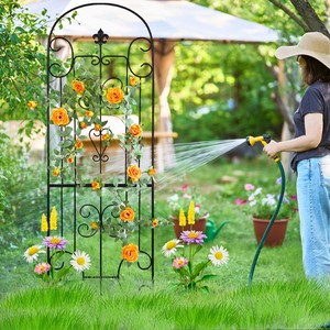 <span class=keywords><strong>Arche</strong></span> de jardin décorative <span class=keywords><strong>en</strong></span> métal noir, support <span class=keywords><strong>en</strong></span> <span class=keywords><strong>fer</strong></span> <span class=keywords><strong>forgé</strong></span> <span class=keywords><strong>pour</strong></span> <span class=keywords><strong>plantes</strong></span> <span class=keywords><strong>grimpantes</strong></span> (roses et vigne) (lot de 2) - Product Image 6