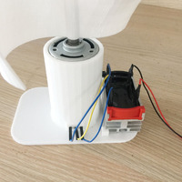 Micro-éolienne de 20 W avec lumière LED, générateur éolien vertical pour la nouvelle énergie