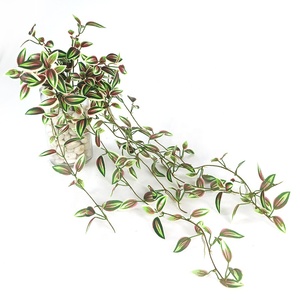 Pianta Artificiale Pendente Variegata Lunga 70cm, Simulazione Foglie Occipitale - Product Image 1