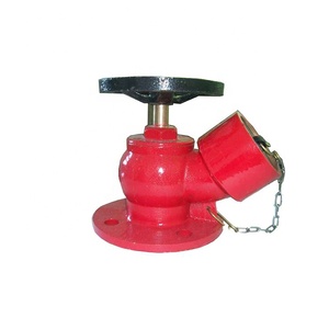 Hydrant d'incendie mural à 2 voies en fonte ductile BS750, type pilier, fourni par l'usine, en vente avec livraison gratuite - Product Image 1