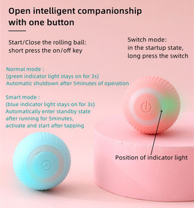 ألعاب القط الكهربائية الذكية التلقائي-تدريب تفاعلي ABS باللون الأزرق والوردي للعب القطط في الأماكن المغلقة - Product Image 6