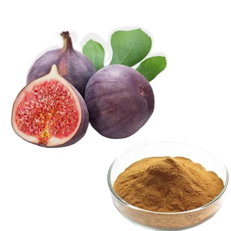 Lower Blood Pressure Fumaric Acid Ficin Fig Fruit Powder Fig Extract