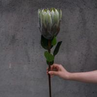 Groothandel Groene Serie Bloemarrangement Passende Kunstbloem Enkelstam Zijden Takkenboeket voor Bruiloft Huisdecoratie