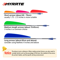 Plumes multicolores en aluminium de 2/3/4/5 pouces sur mesure avec pointes en acier pour flèches DIY pour arc recurve et arbalète