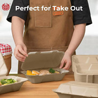 Kemasan Makanan Sekali Pakai Murah dari Bagasse Bentuk Kotak, Laminasi Mengkilap, Kemasan Take Away untuk Sushi, Mie, Salad, Burger