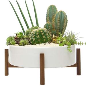 Di grandi dimensioni <span class=keywords><strong>in</strong></span> ceramica smaltata vasi da <span class=keywords><strong>giardino</strong></span> Grande Rotonda Succulente Planter Ciotola, 10 Pollici Piatto <span class=keywords><strong>In</strong></span> Ceramica Bianca con Basamento <span class=keywords><strong>In</strong></span> Legno, succulente - Product Image 1