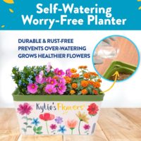 Kit de jardinage écologique en fibres végétales pour peinture et culture de fleurs, avec trou de drainage, pour activités créatives des enfants